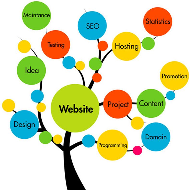 Website design project
